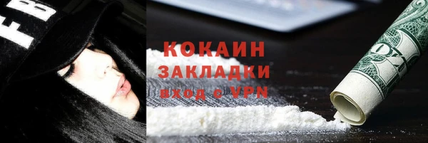 тгк Дмитров