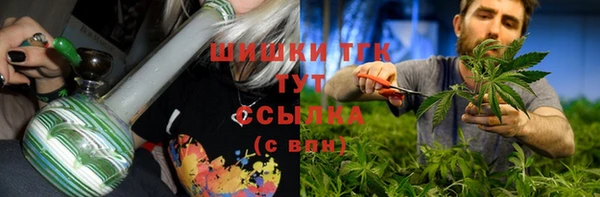 тгк Дмитров